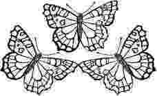 monarch butterfly coloring pages monarch butterfly coloring pages batman coloring pages coloring pages butterfly monarch 