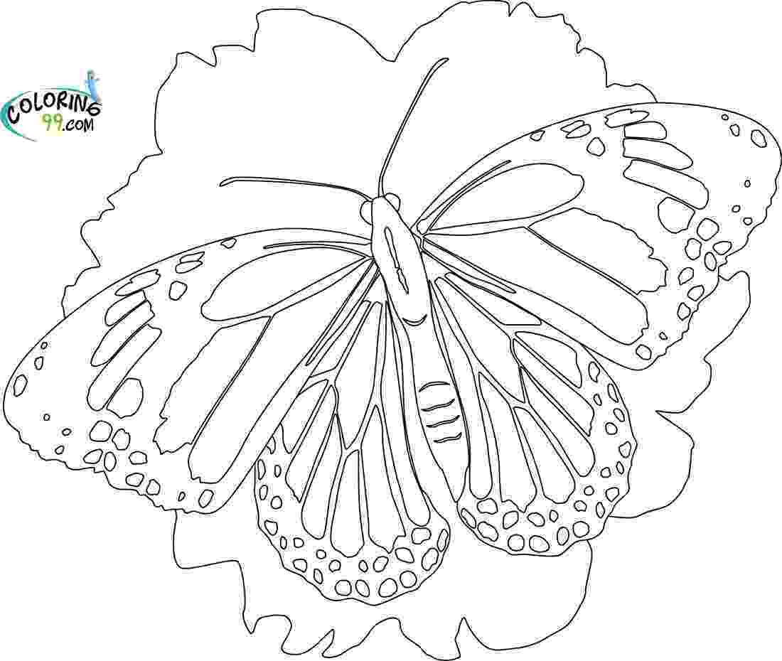 monarch butterfly coloring pages monarch butterfly coloring pages for kids gtgt disney coloring monarch pages butterfly 