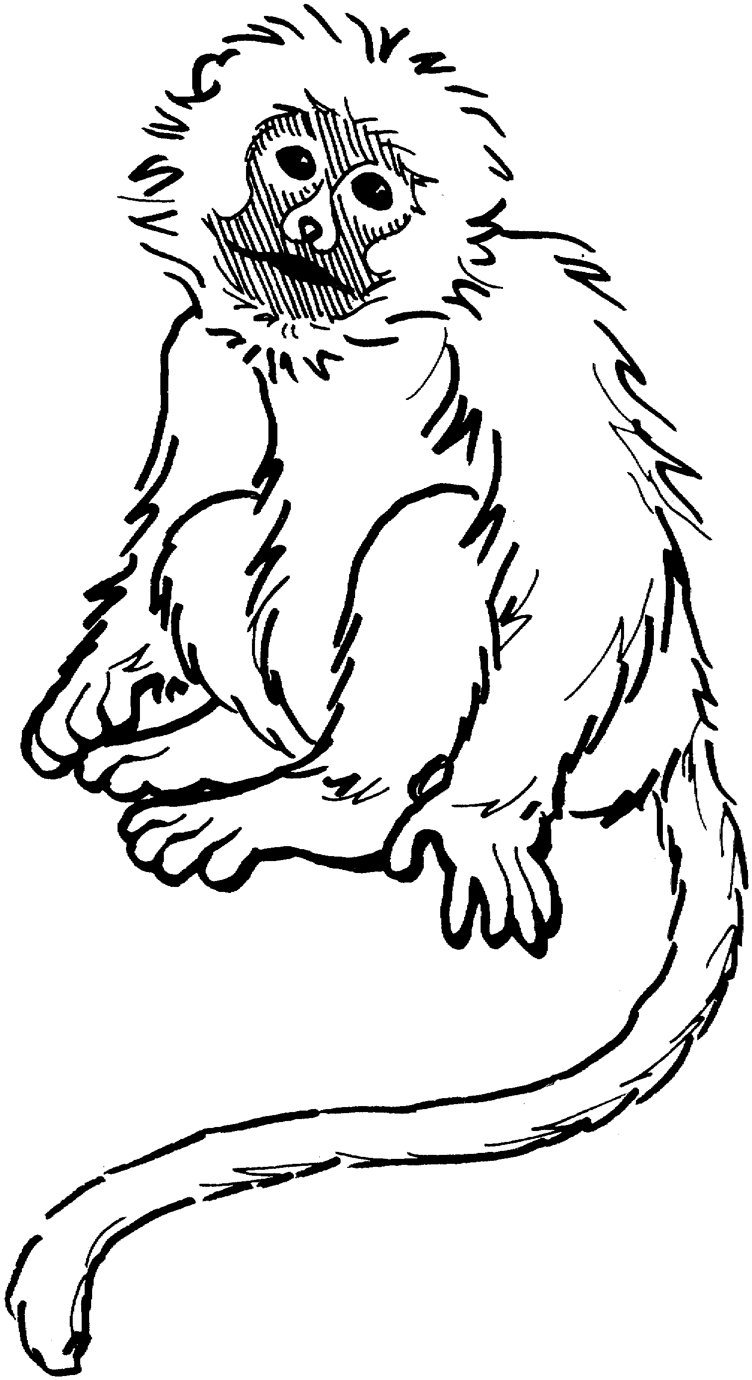 monkey coloring images free printable monkey coloring pages for kids cool2bkids images coloring monkey 