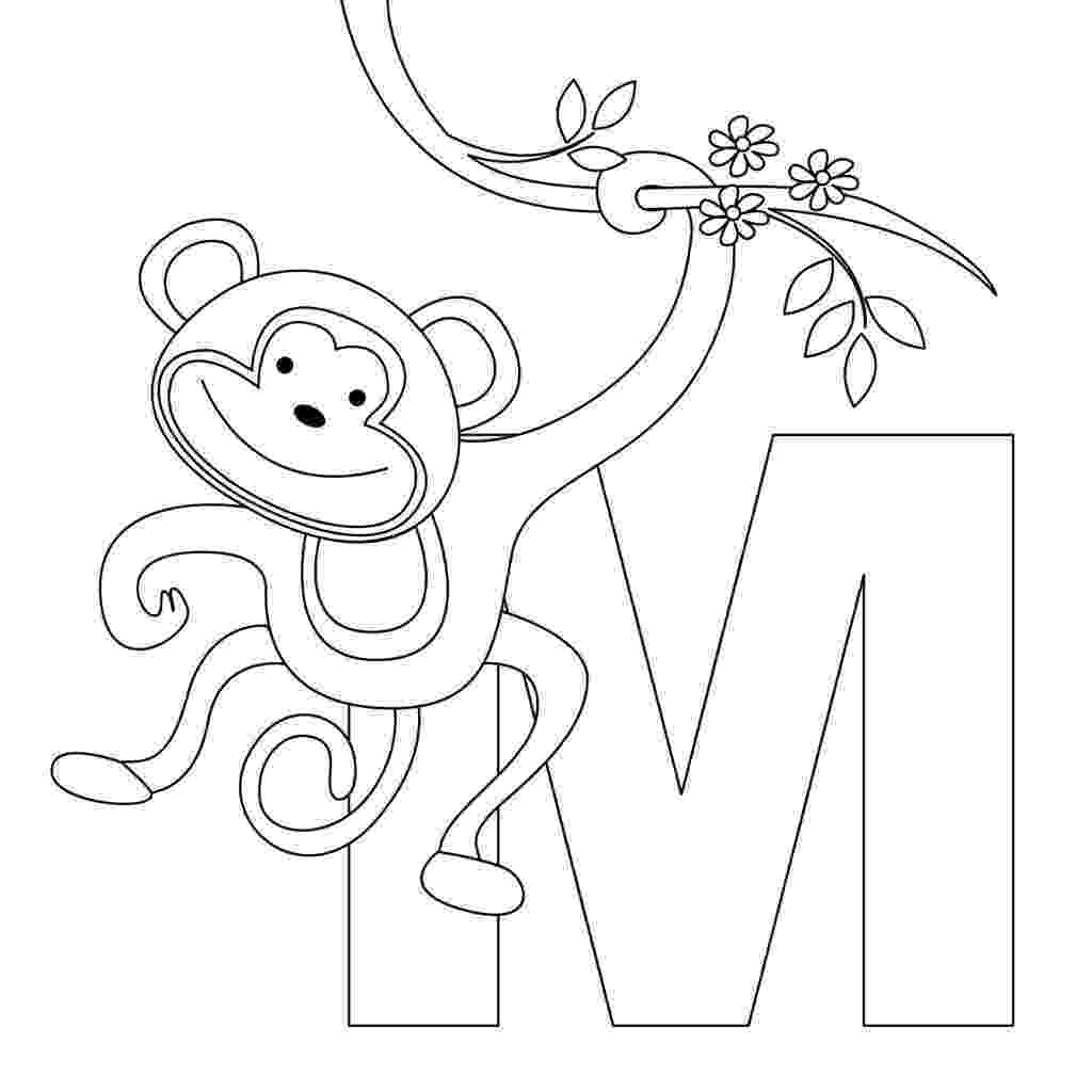monkey coloring sheet cute baby monkey coloring pages free coloring pages and coloring monkey sheet 