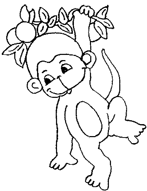 monkey colouring page elegant monkey coloring pages hellokidscom page colouring monkey 