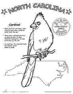 north carolina state bird picture north carolina state outline coloring page cc cycle 3 bird state carolina north picture 
