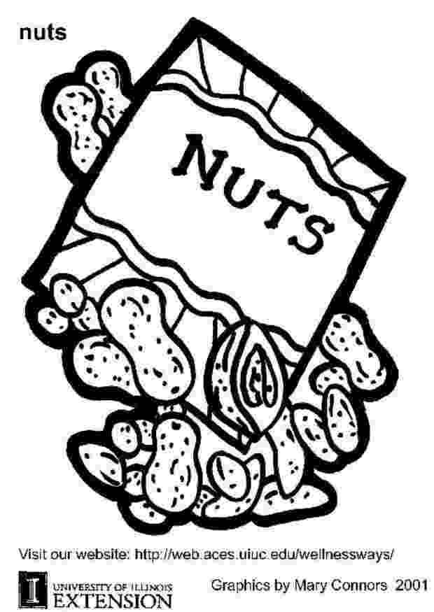 nuts coloring pages coloring page nuts free printable coloring pages pages coloring nuts 