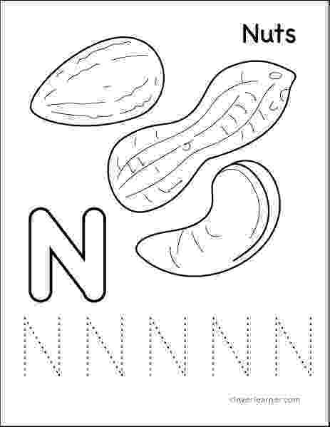 nuts coloring pages nut clipart colouring page nut colouring page transparent nuts coloring pages 