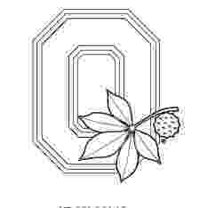 ohio state coloring pages ohio state buckeyes coloring pages coloring home state ohio coloring pages 