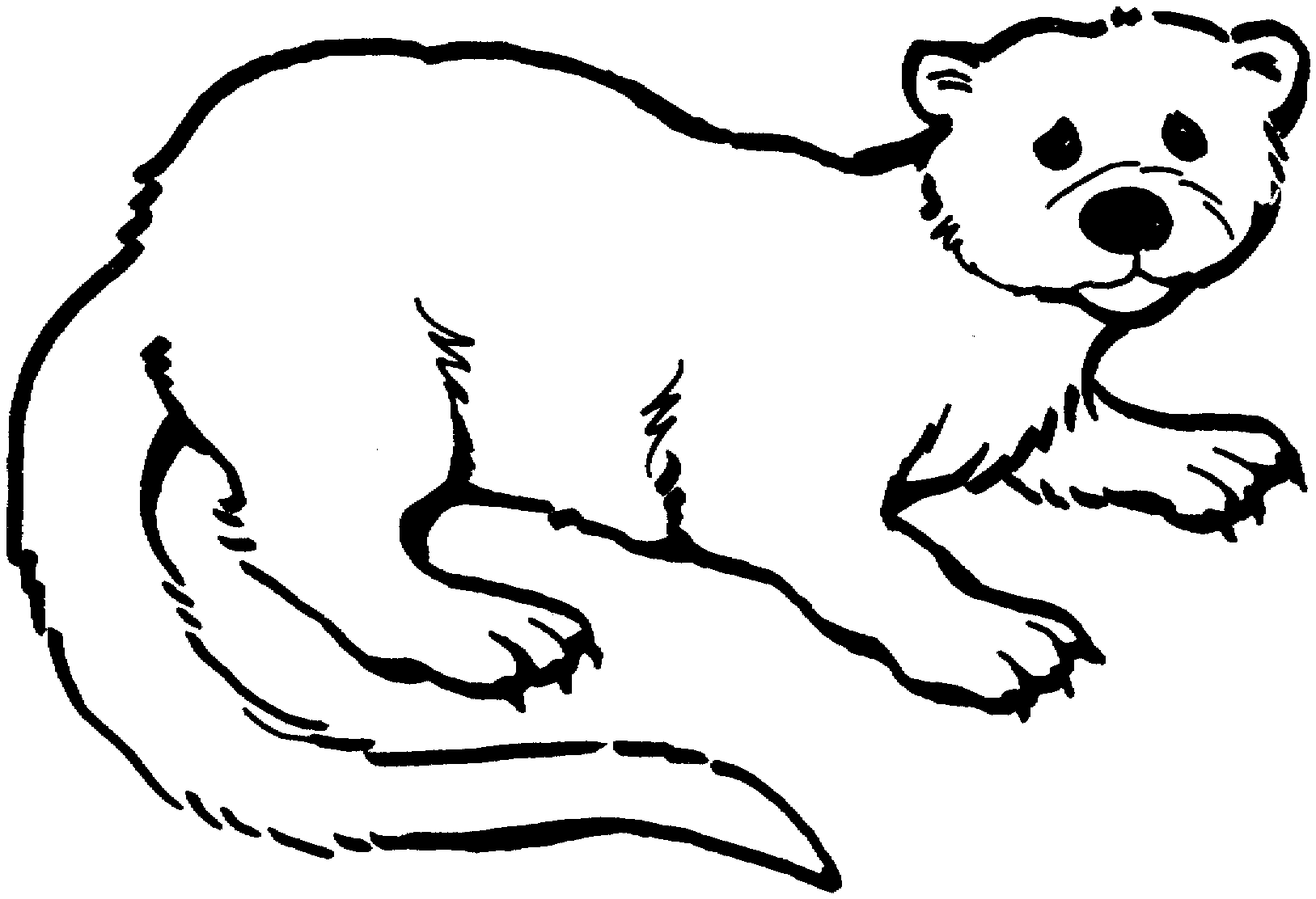 otter coloring pages otter coloring pages download and print for free otter pages coloring 