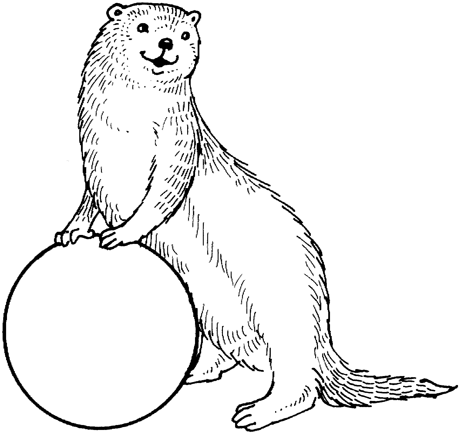 otter coloring pages sea otter awareness week 2012 jen richards otter pages coloring 