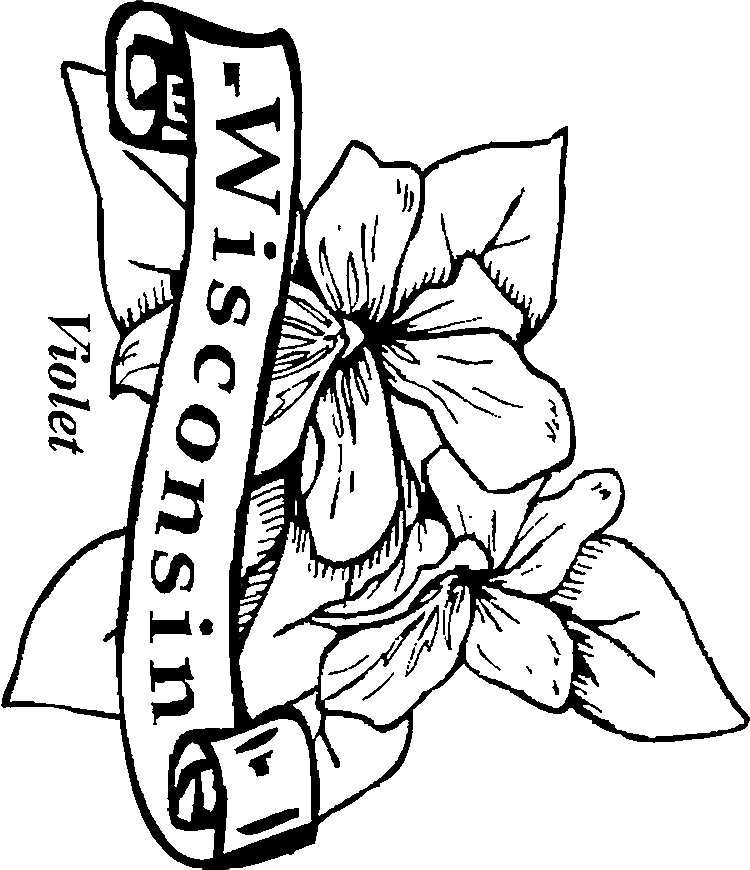 pa state flower 50 state flowers coloring pages for kids flower pa state 