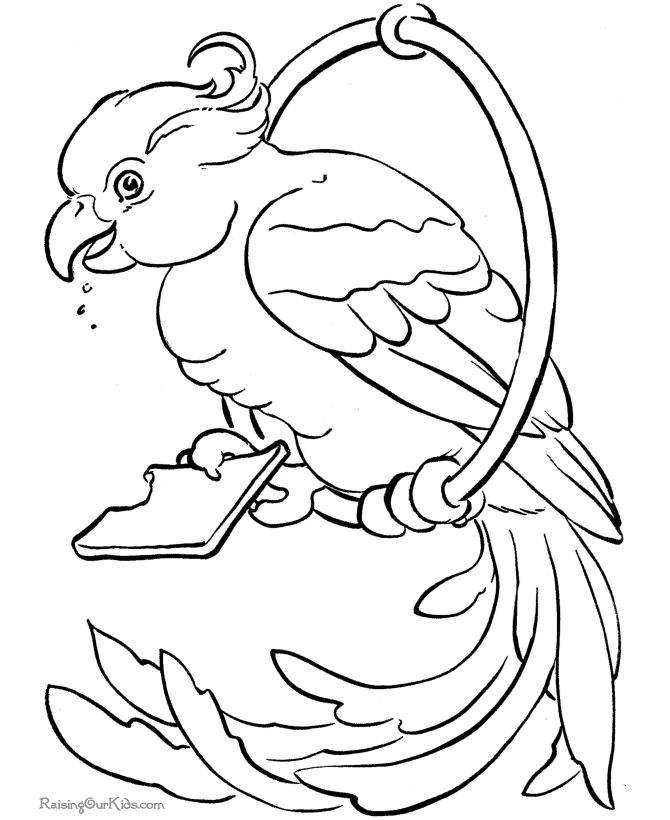 parrot coloring pages hd animals parrot bird coloring pages parrot coloring pages 1 1