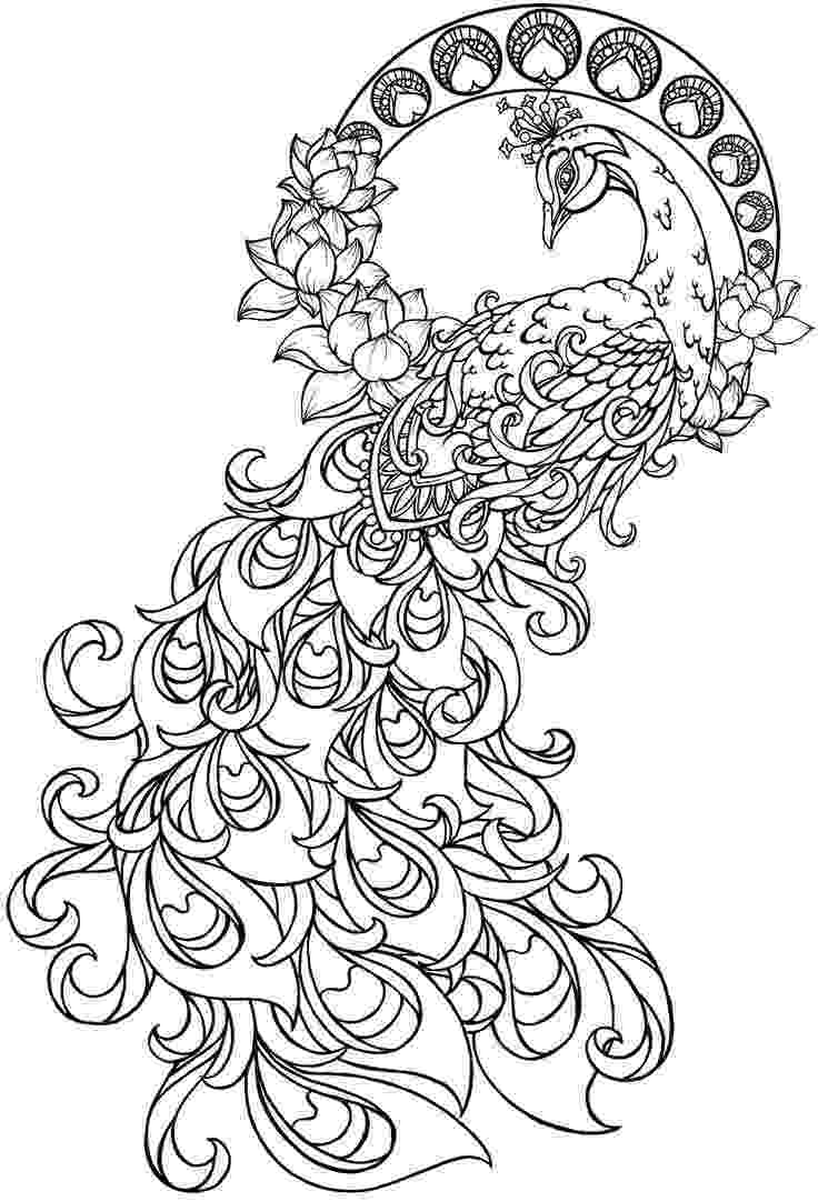 peacock colouring picture 17 best images about peacock on pinterest printable picture colouring peacock 