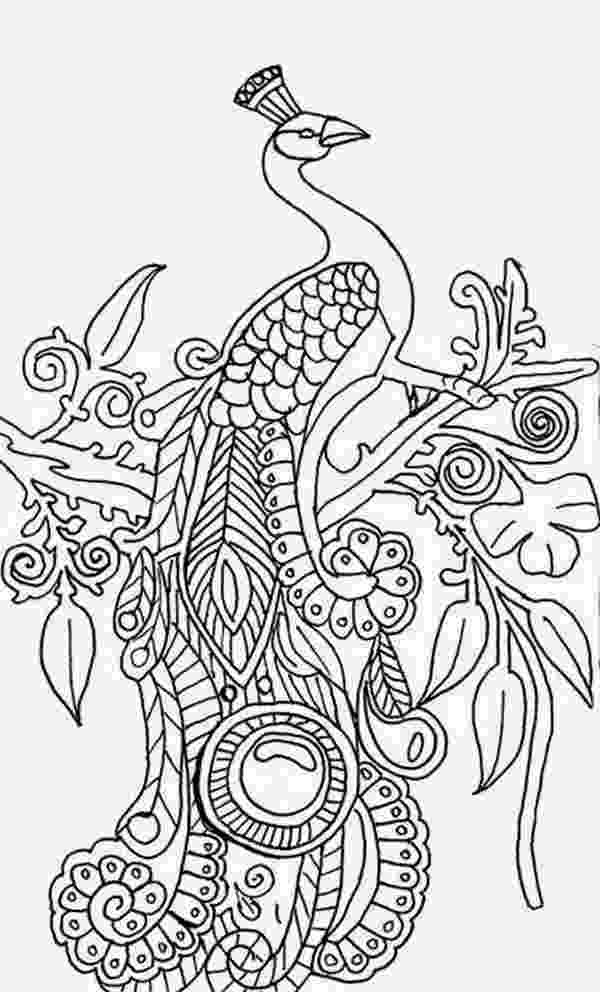 peacock colouring picture peacock coloring page stock illustration download image colouring peacock picture 