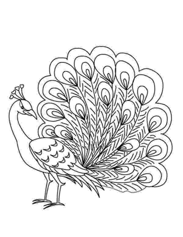 peacock colouring picture peacock drawing at getdrawingscom free for personal use colouring picture peacock 