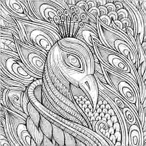 peacock colouring picture peacocks free printable coloring pages for kids colouring picture peacock 