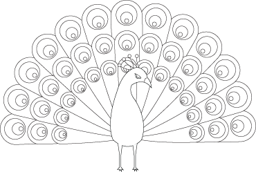 peacock colouring picture peacocks to download for free peacocks kids coloring pages colouring peacock picture 