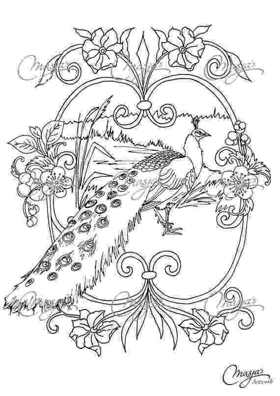 peacock colouring picture printable peacock coloring pages for kids cool2bkids colouring peacock picture 