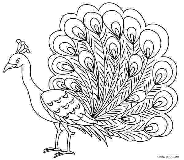 peacock colouring picture printable peacock coloring pages for kids cool2bkids peacock colouring picture 