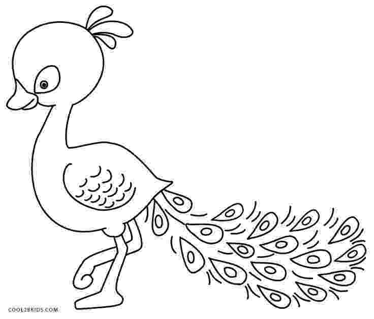 peacock colouring picture printable peacock coloring pages for kids cool2bkids peacock colouring picture 1 1