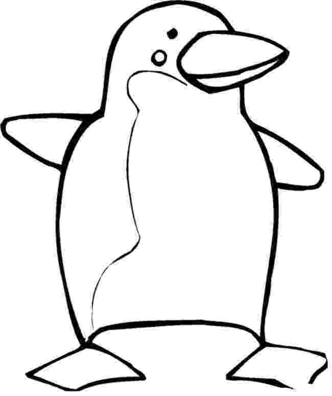 penguin colouring pictures cute baby penguin coloring pages only coloring pages penguin pictures colouring 