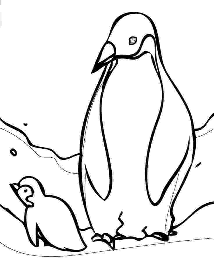 penguin colouring pictures printable penguin coloring pages for kids cool2bkids pictures colouring penguin 