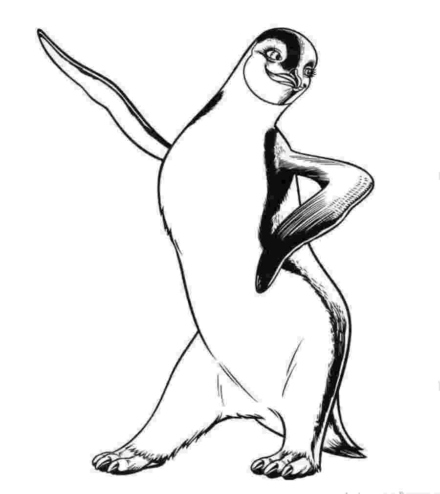 penguin images to color 8 penguin coloring pages jpg ai illustrator download to penguin color images 