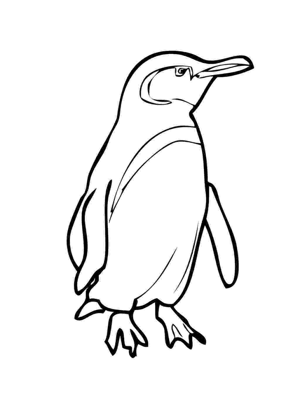penguin images to color christmas penguin coloring pages free download best color to images penguin 