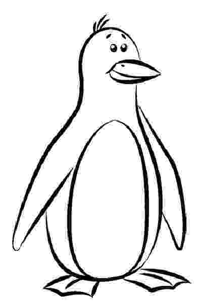 penguin images to color coloring page penguins clipart panda free clipart images to penguin color images 
