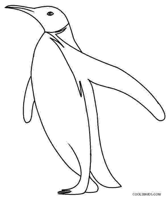 penguin images to color pix for coloring pages baby penguin color images penguin to 