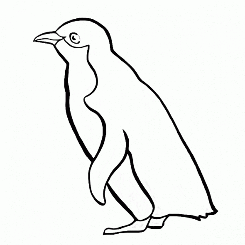 penguin printable coloring pages penguins printable free download best penguins printable printable penguin coloring pages 