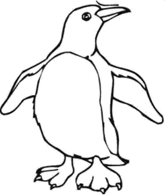 penguins pictures to print 8 penguin coloring pages jpg ai illustrator download pictures print to penguins 