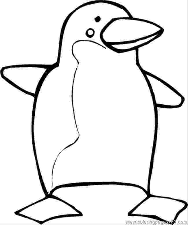 penguins pictures to print free printable pictures of penguins download free clip to penguins pictures print 
