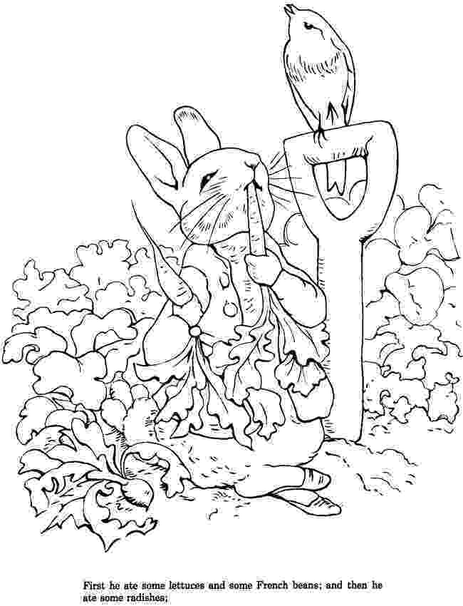 peter rabbit colouring pictures download peter rabbit coloring page stamping peter pictures rabbit colouring 