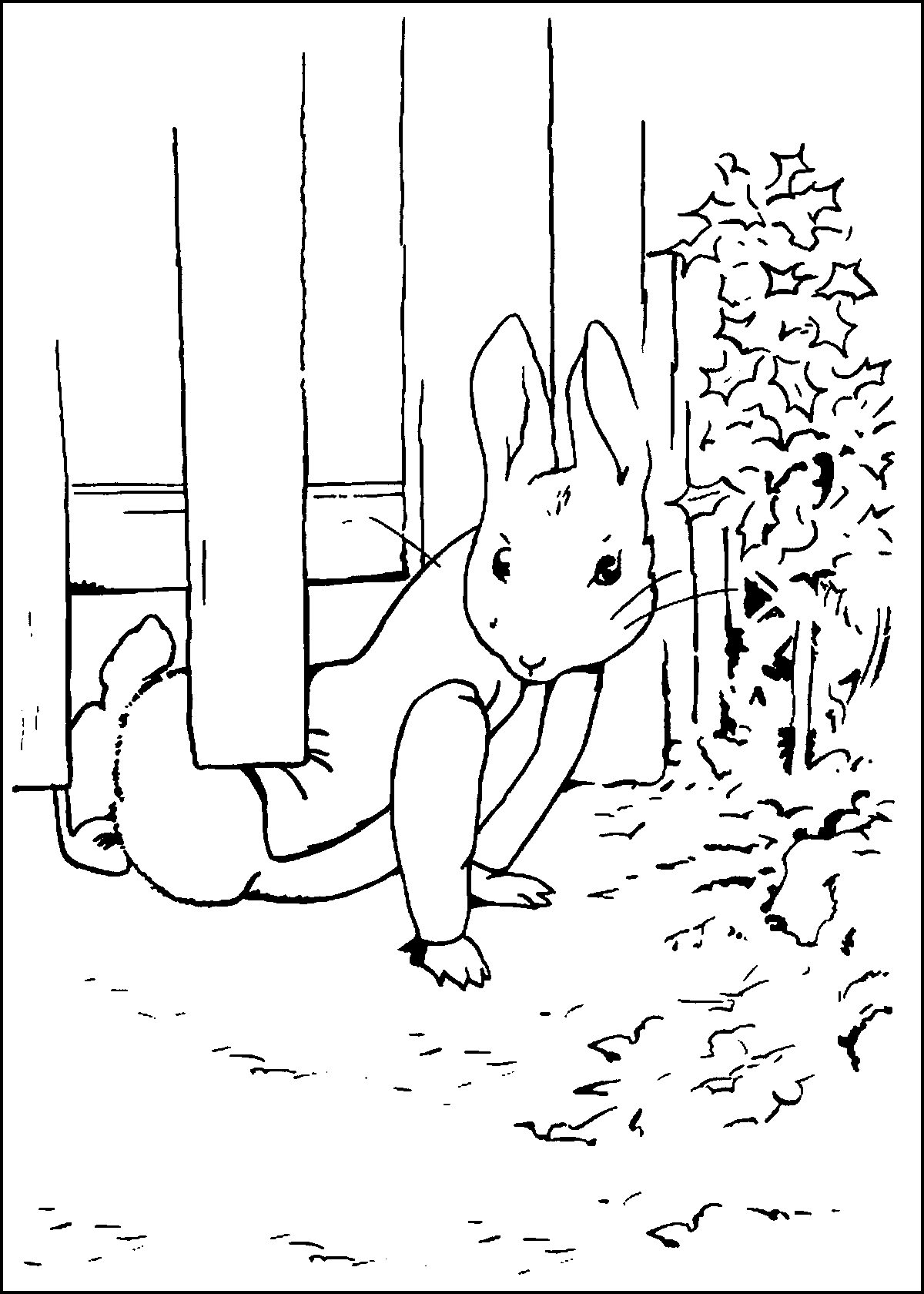 peter rabbit colouring pictures peter rabbit coloring pages rabbit pictures peter colouring 