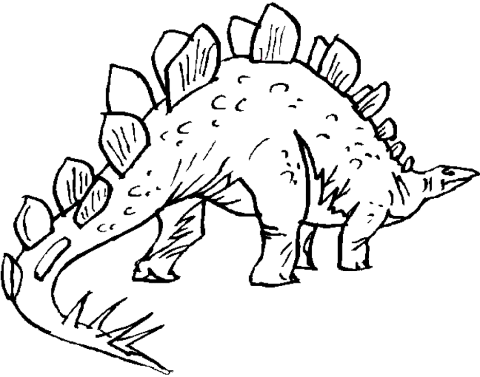 picture of a stegosaurus stegosaurus coloring page free clip art picture stegosaurus of a 