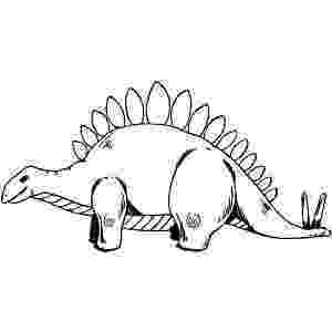 picture of a stegosaurus stegosaurus dinosaur engraving vector stock vector stegosaurus a picture of 