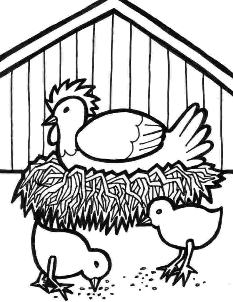 picture of chicken chicken coloring pages best coloring pages for kids picture of chicken 