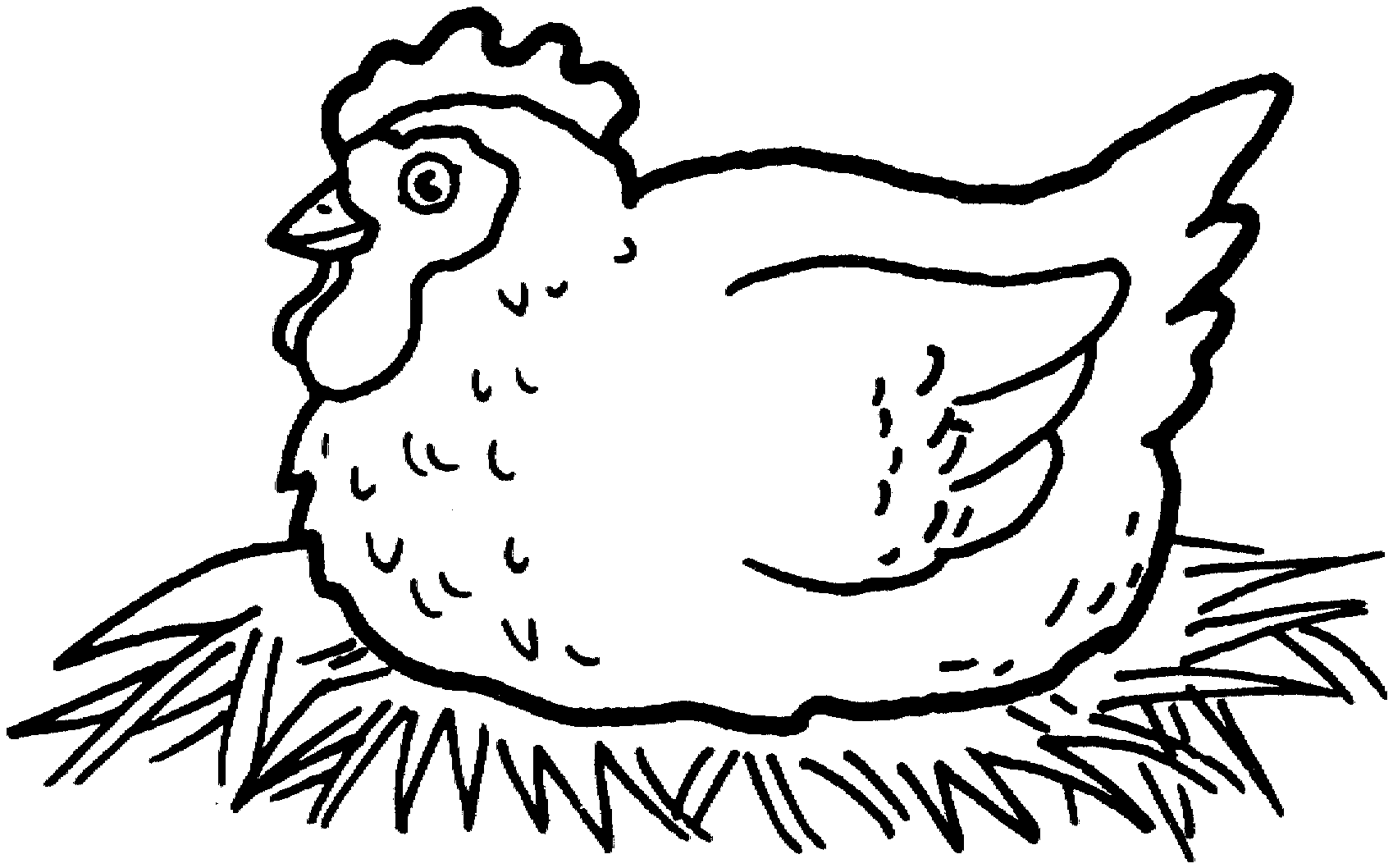 picture of chicken free printable chicken coloring pages chicken chicken picture chicken of 