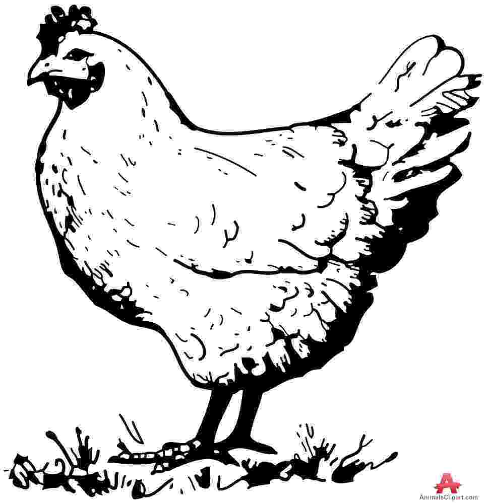 picture of chicken how to draw a chicken cartoon video step by step pictures chicken of picture 