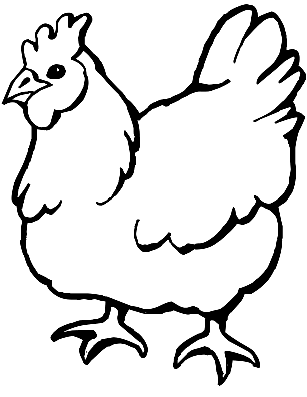 picture of chicken how to draw a chicken for kids drawingforallnet picture chicken of 