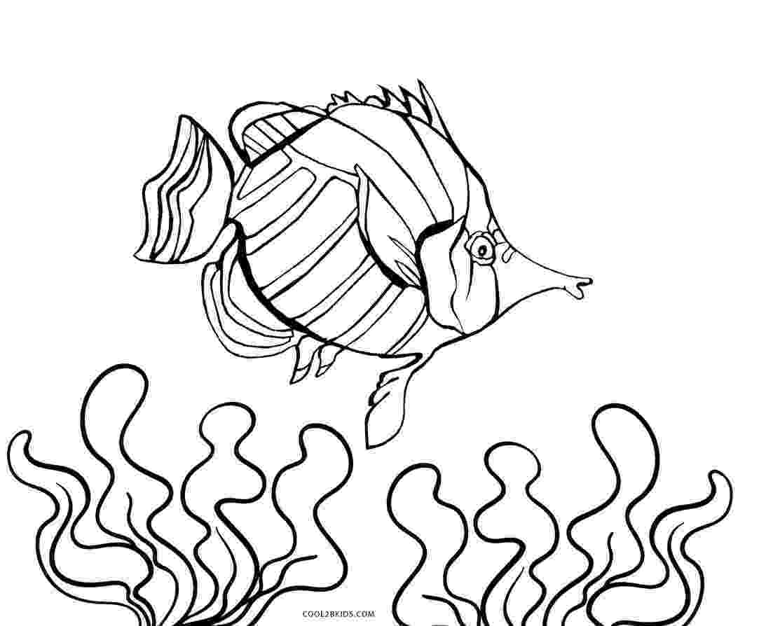 picture of fish to color fish coloring pages 13 coloring kids to color picture of fish 