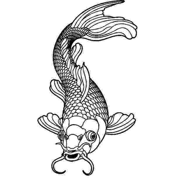picture of fish to color free printable fish coloring pages for kids cool2bkids fish of to picture color 