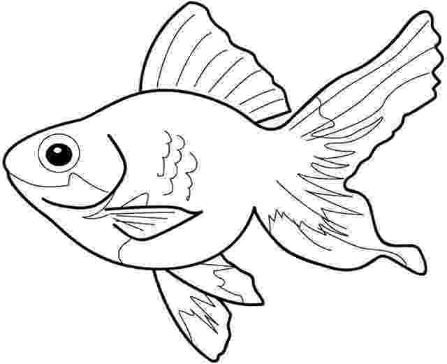 picture of fish to color free printable fish coloring pages for kids cool2bkids fish picture to of color 1 1