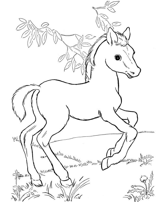 picture of horses to color horse coloring pages for kids coloring pages for kids to picture horses of color 
