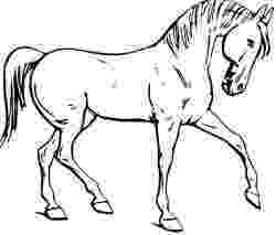 picture of horses to color top 55 free printable horse coloring pages online horse horses picture to color of 