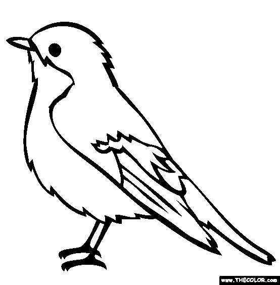 pictures of birds to colour bird cute coloring page wecoloringpagecom pictures colour of birds to 