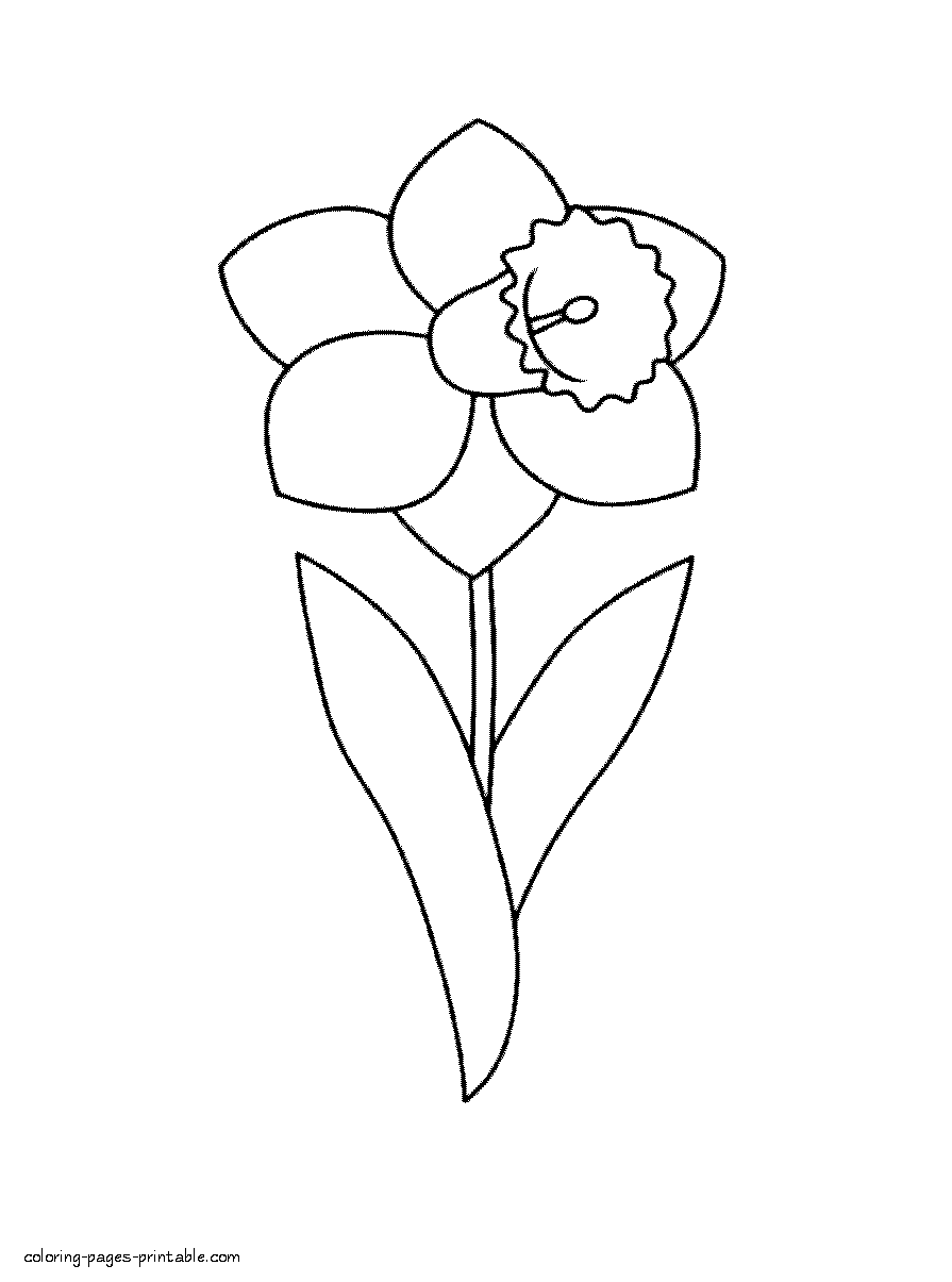 pictures of daffodils to color yellow daffodil coloring page free printable coloring pages of to pictures daffodils color 