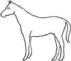 pictures of horses to trace drawing lessons physician artist horses of to pictures trace 