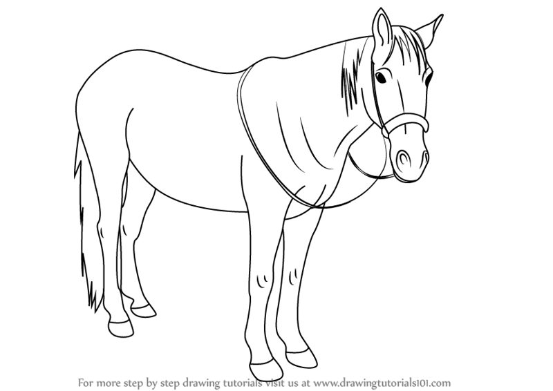 pictures of horses to trace easy horse drawing that you can trace sketch coloring page of trace horses to pictures 