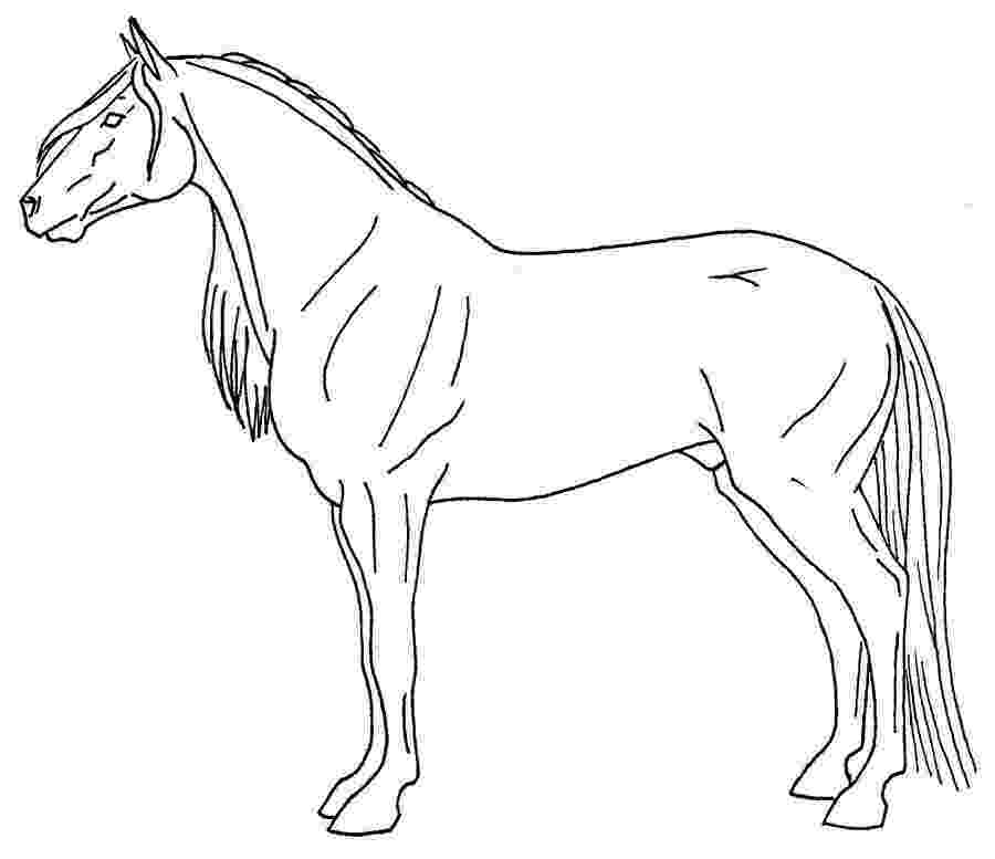 pictures of horses to trace learn how to draw with grids for right brain problem of to pictures trace horses 
