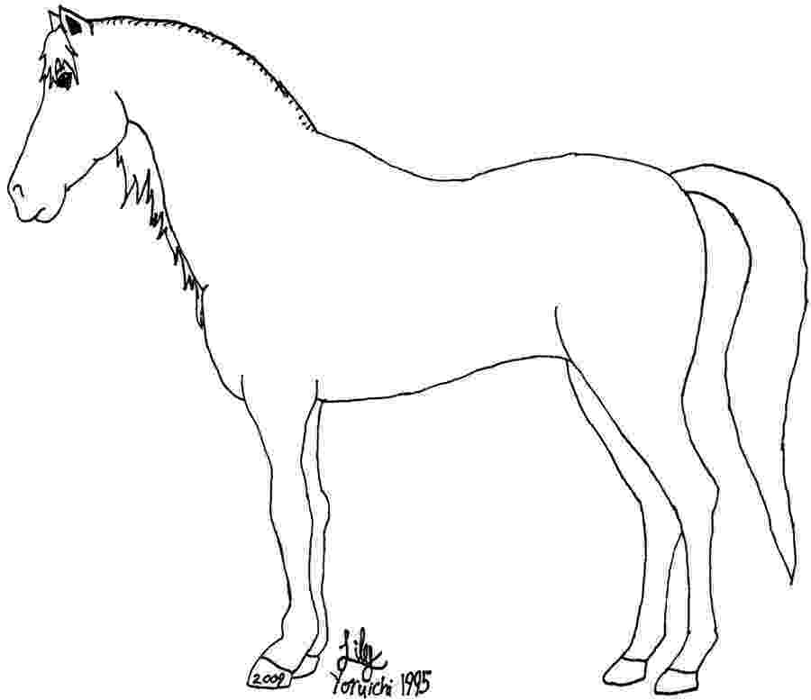 pictures of horses to trace quarter horse profile by elliemurray on deviantart trace pictures to horses of 