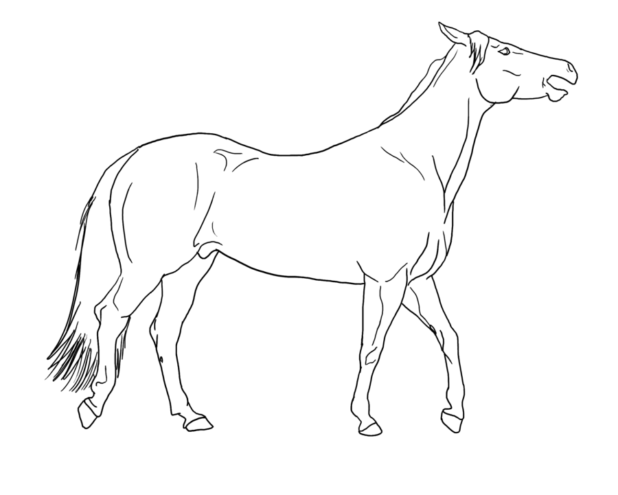 pictures of horses to trace the adventures of kaia horses to trace pictures of horses 